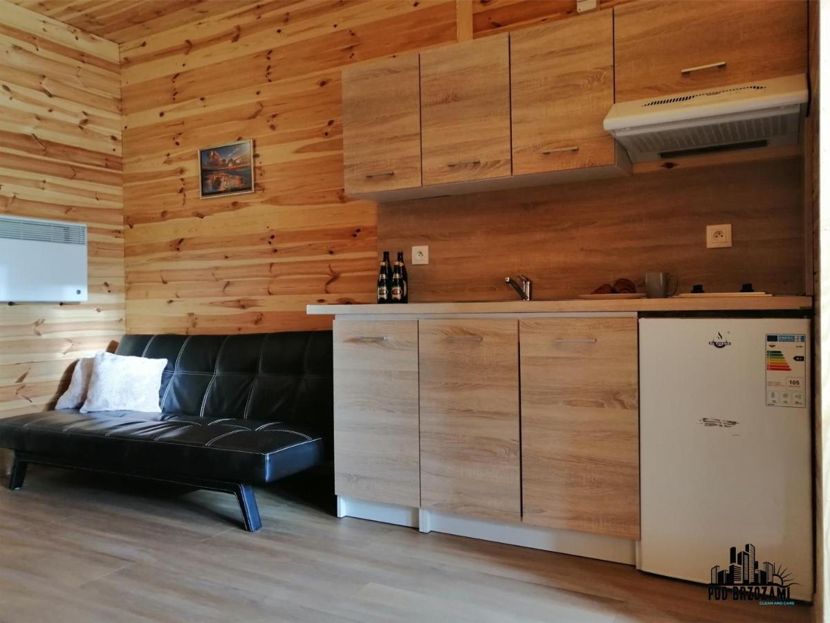 Pod Brzozami Apartamenty Domek Ustronny 尤斯托尼莫斯基 外观 照片